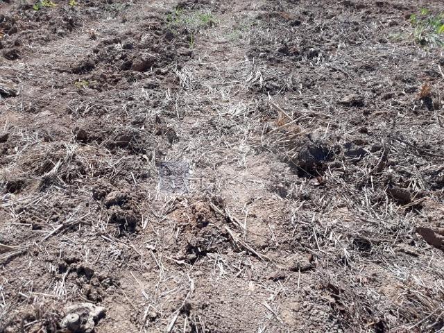 Fazenda no Mato Grosso 5.276 ha venda total - parcial ou permuta - Foto 9