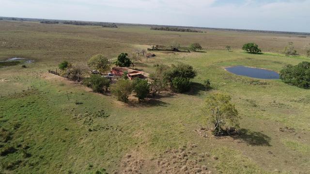 Fazenda formada em Poconé /MT com 1360 hectares - Foto 5