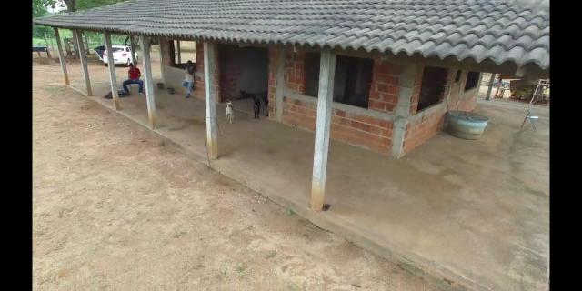 Fazenda de pecuária a venda 12 km porto nacional - Foto 15