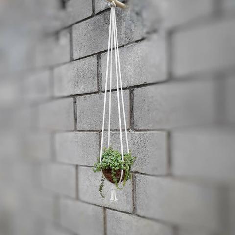 Jardim Suspenso- Kokedama - Presente Personalizado - Foto 2