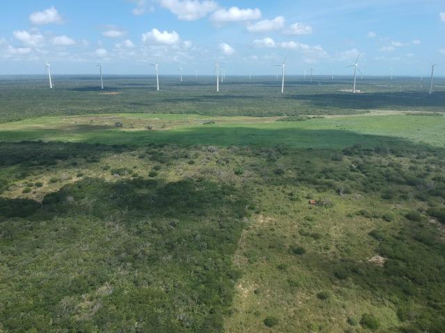 Terreno plano de 15 hectares à 4 km do centro