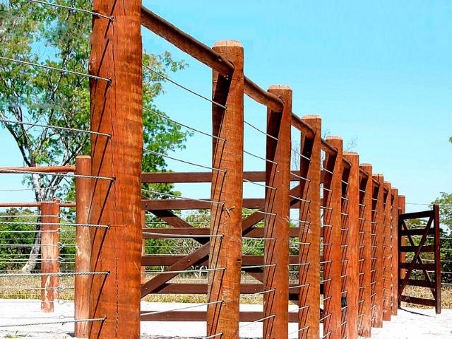 Eucalipto Tratado - 15 anos de garantia - Peças roliças - Foto 4