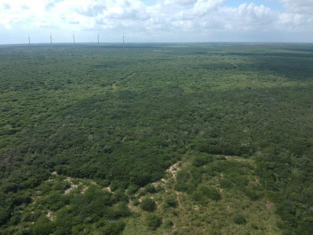 Terreno plano de 15 hectares à 4 km do centro - Foto 15
