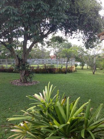 Chácara com 01 hectare em Gravatá/PE, para venda - REF.488 - Foto 6