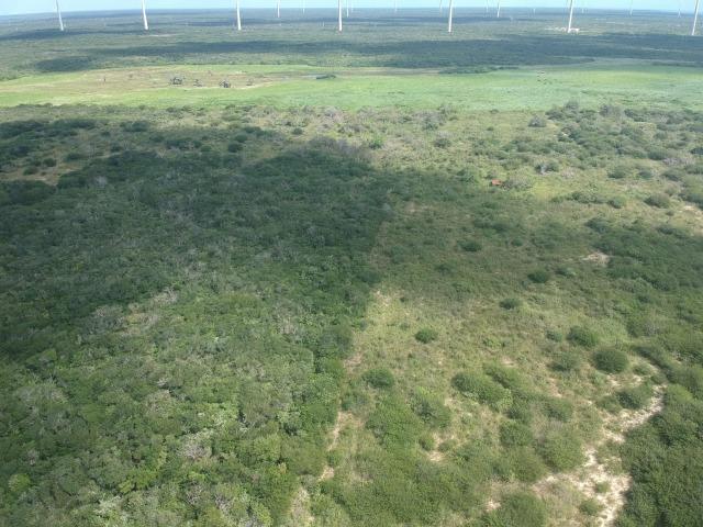 Terreno plano de 15 hectares à 4 km do centro - Foto 6