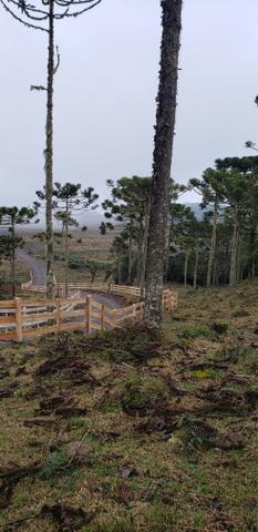 Sítio /chácara em Urubici/área rural em Urubici - Foto 2