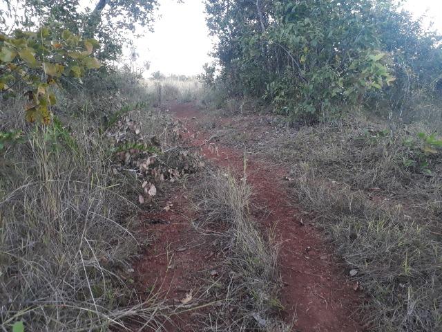 Sitio em Acorizal com 38.2 hectares - Foto 16