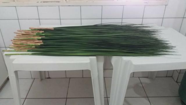 Capim artificial. 30 peças