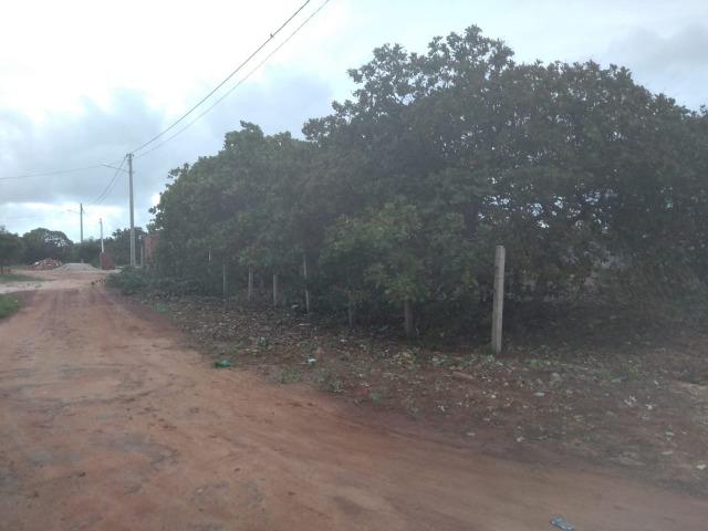 Terreno de 500 m² em região com grande potencial de crescimento - Foto 3
