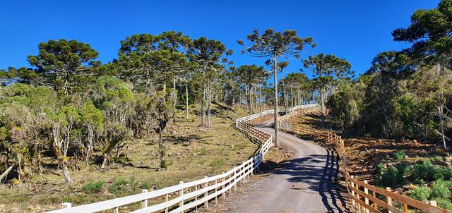 Sítio chácara em Urubici/área rural em Urubici - Foto 2