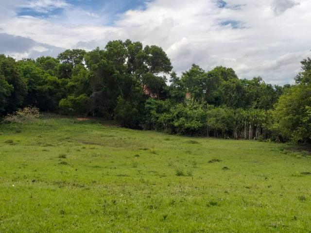 Pp- mega oportunidae luxuoso terreno próximo a lagoa jacune - Foto 6