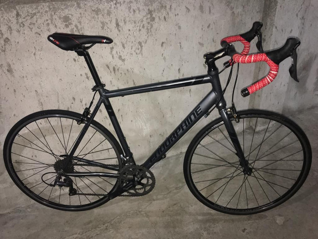 bike speed endorphine fast 20