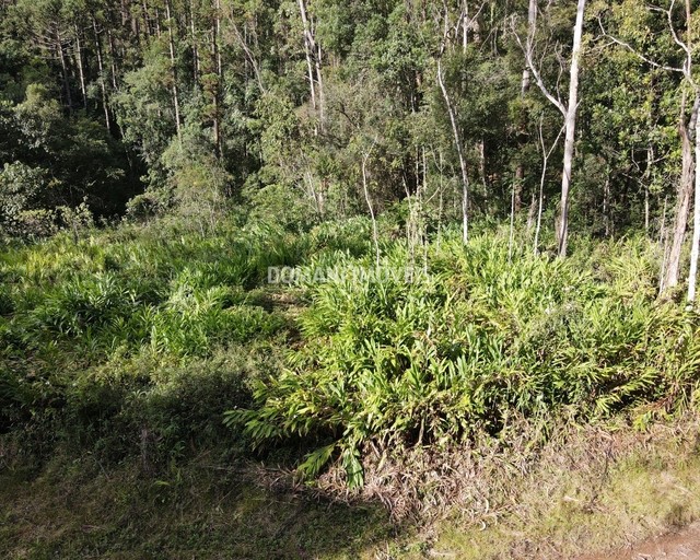 Ampla Área de Terreno à Venda na Região do Alpes de Campos do Jordão - Campos do Jordão/SP - Foto 5