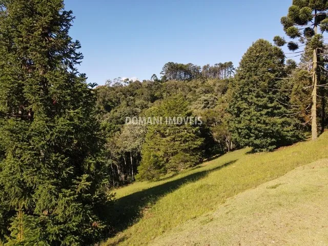 Lindo Terreno à Venda no Condomínio Residencial Reserva Figueiredo - Campos do Jordão/SP