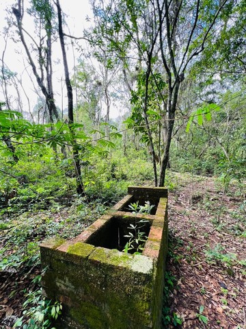 Chácara em Sapiranga com 3 hectares  - Foto 7