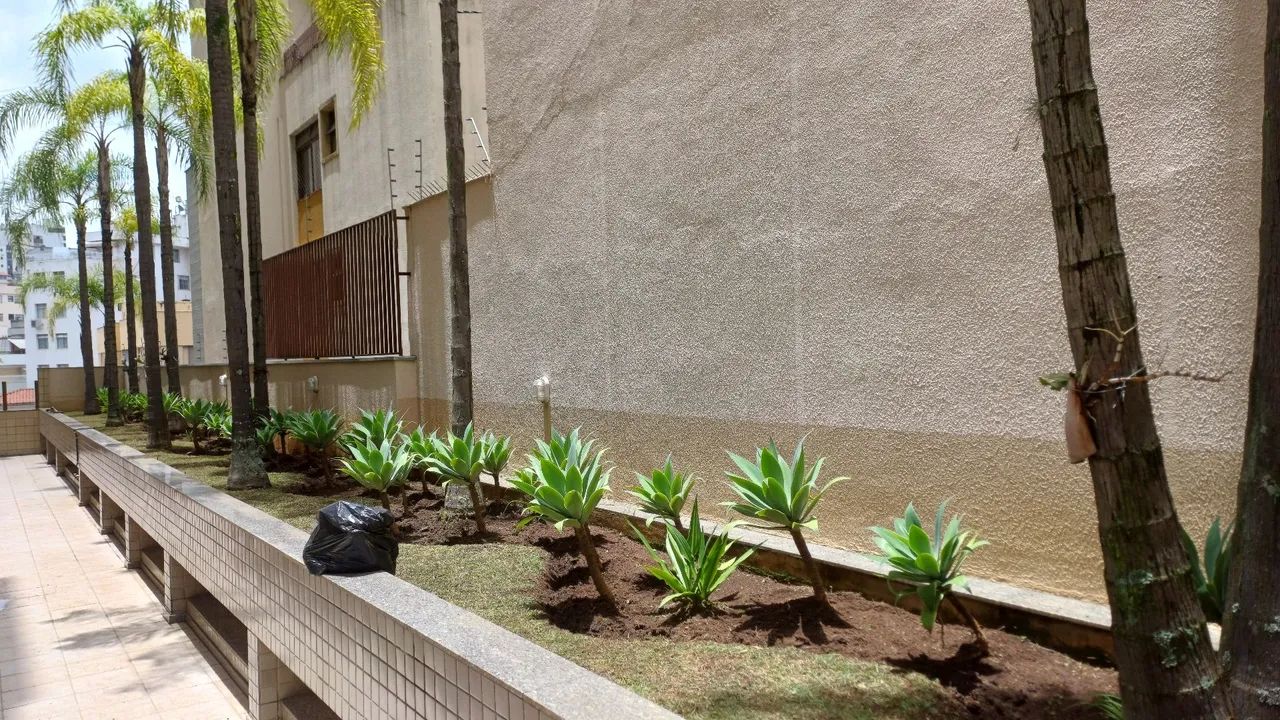 Jardinagem e paisagismo - Foto 3