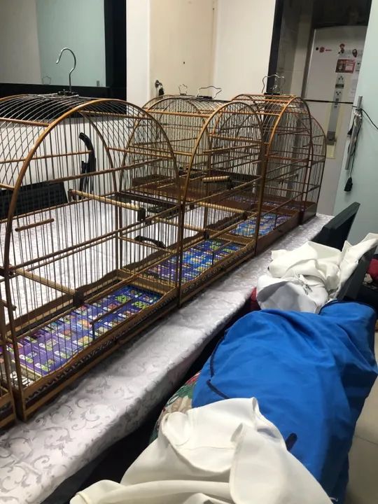 Gaiolas de madeira número 05 e 06 - Foto 4