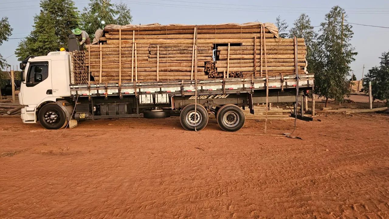 Eucalipto Tratado - Campo Belo Madeiras - Foto 4