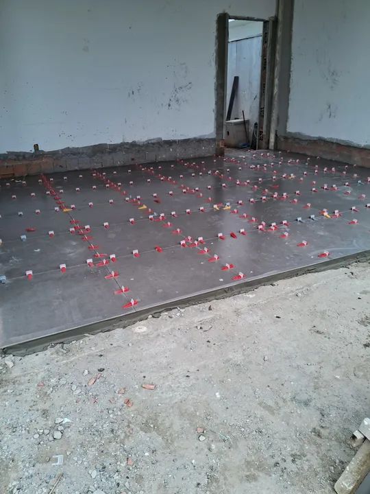 Azulejista  - Foto 4