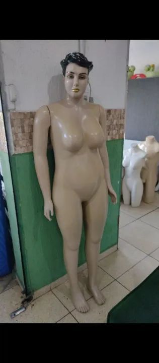 Manequim Plus Size 300 reais no dinheiro  - Foto 4