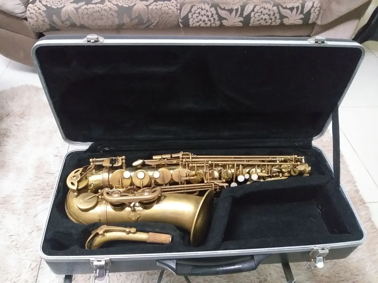 Saxofone alto shelter