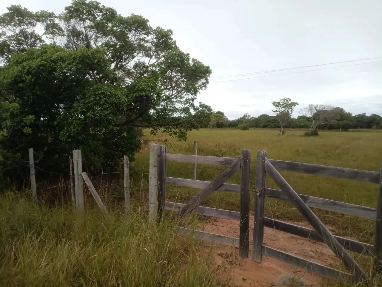 Área em Quissamã com 1900 m2 poucos metros do asfalto - Foto 2