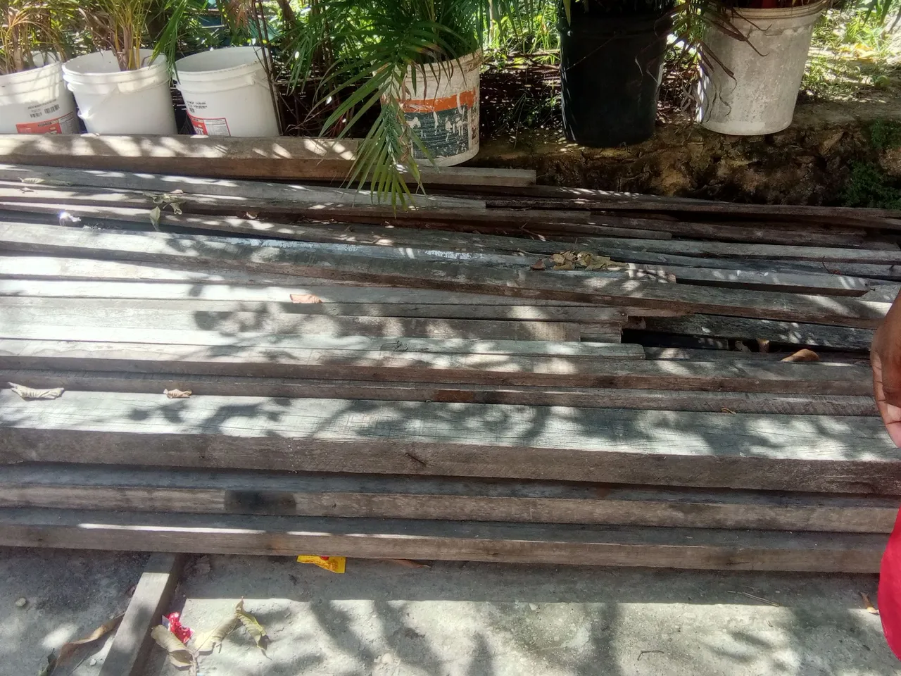 Madeiras para fundação e estrutura