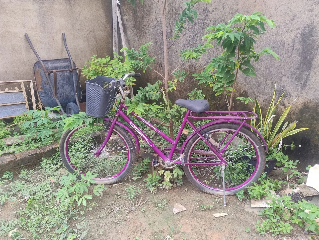 Bicicleta