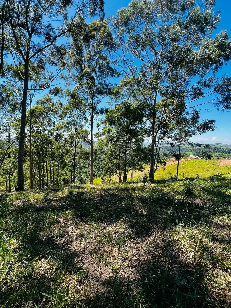 Melhores terrenos em igarata
