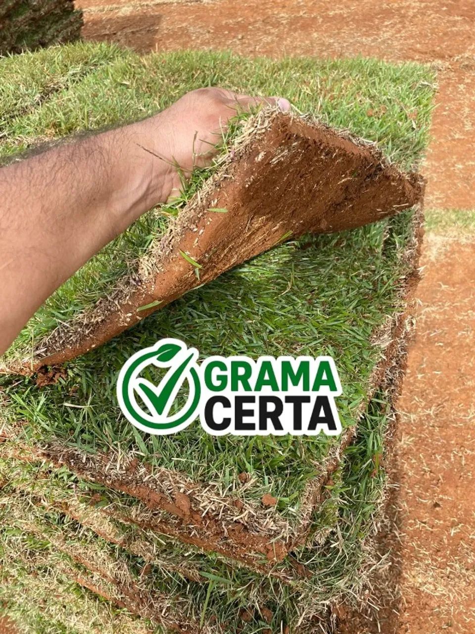 Grama Esmeralda - Foto 4