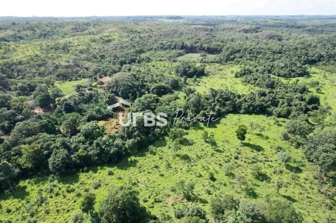Fazenda - Chácara