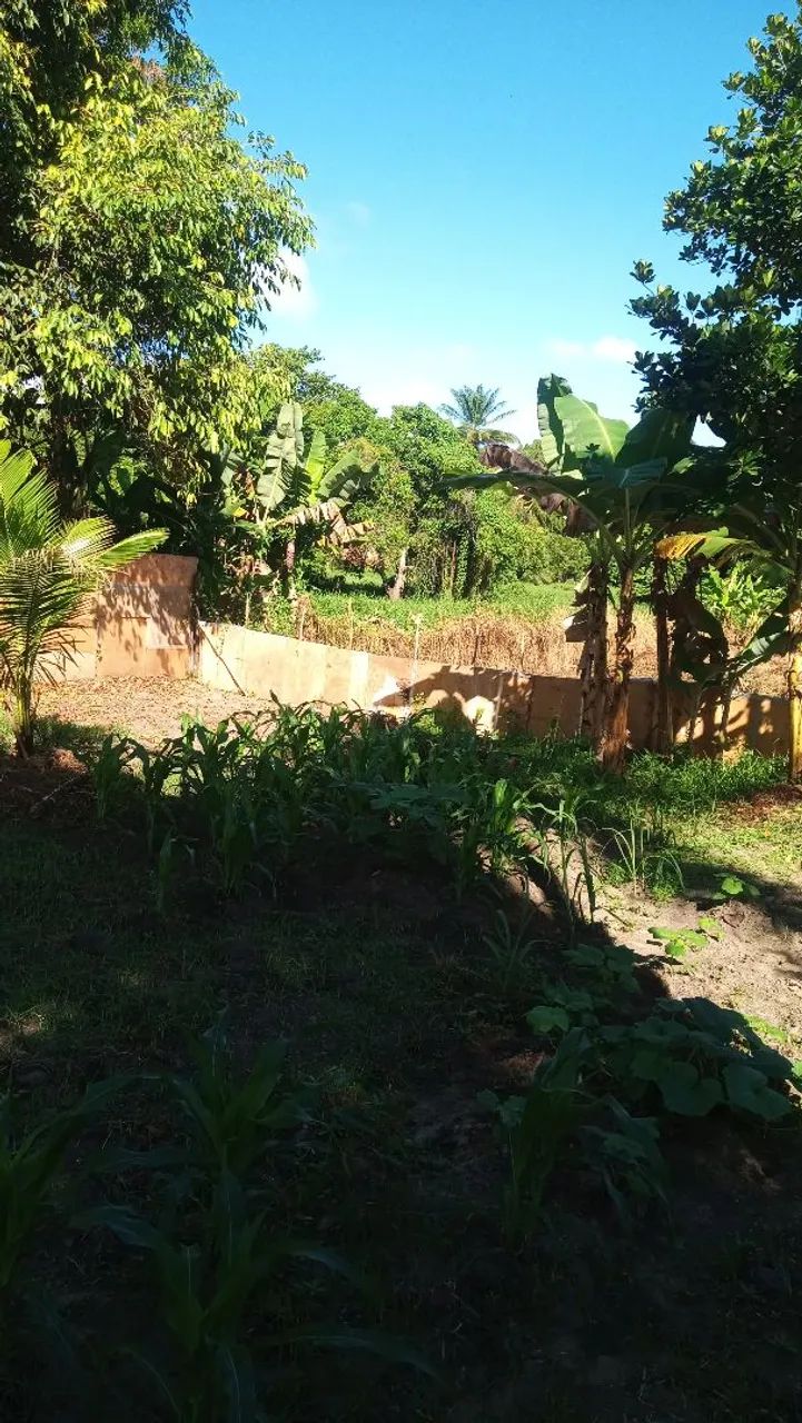 Vende-se um terreno em palmares Simões filho - Foto 8