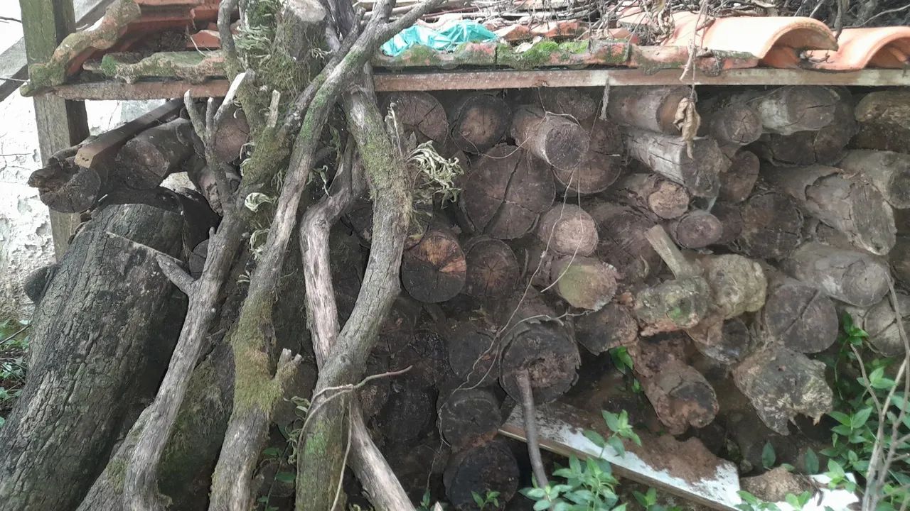 Lenha para churrasco, fogão ou forno - Foto 4