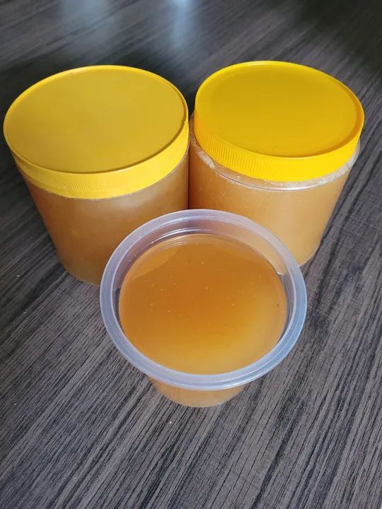 Mel de abelha puro - Foto 2