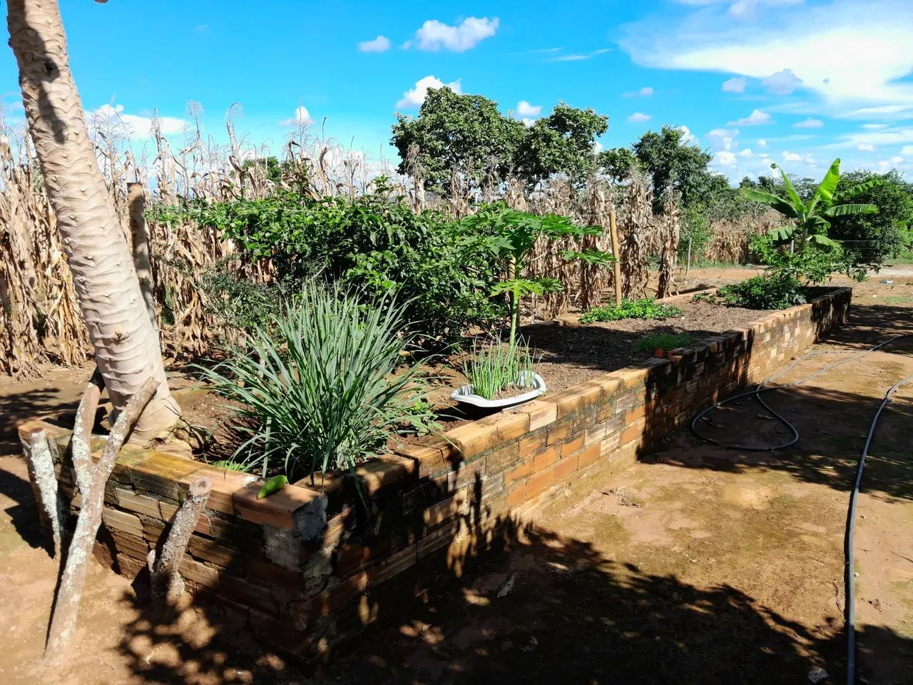 Chácara 7.500M2 em Bonfinópolis-Go  - Foto 12