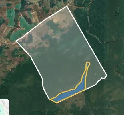 Fazenda 2.850 ha - Documentada, Plana e Frente Asfalto - Macapá/AP