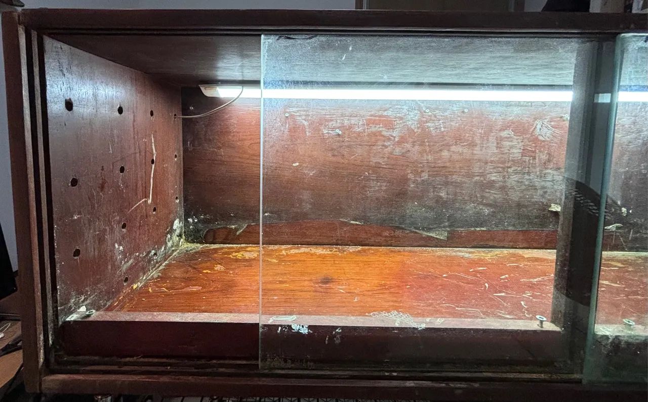 Terrário para répteis - Foto 4