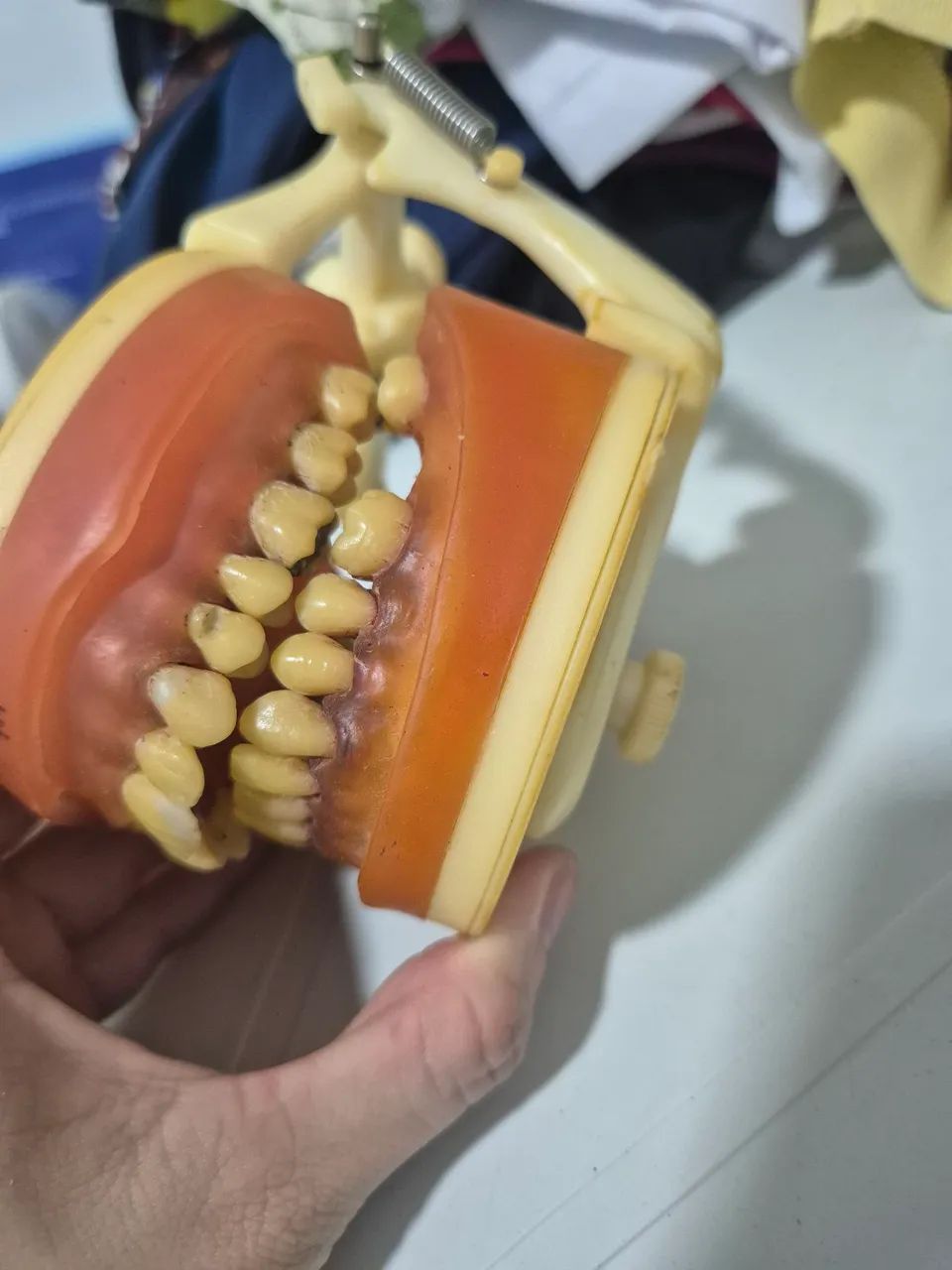 Manequim Modelo de Dentadura Odontológica - Foto 2
