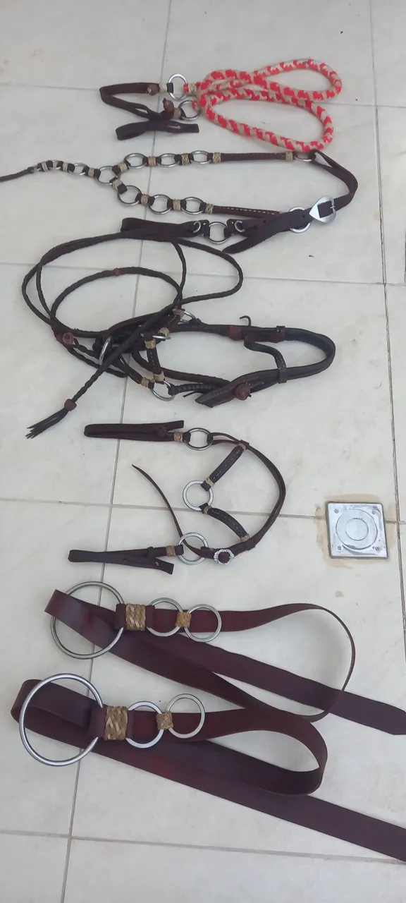Vendo traia de frente inox e estribo inox montado