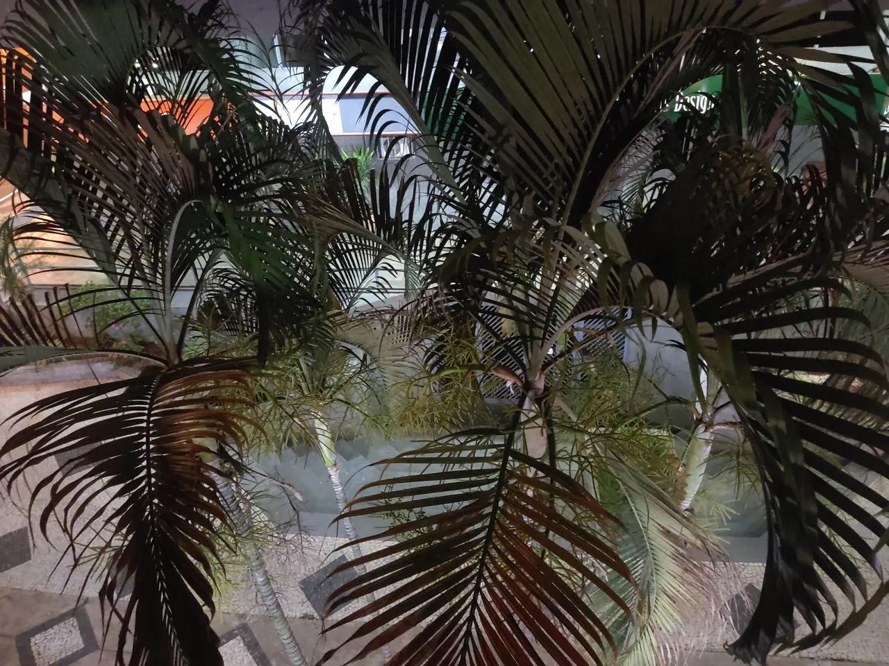 Aluguel Temporada - Apartamento completo - Foto 10