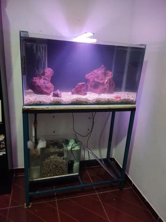 Aquário 200 litros completo 