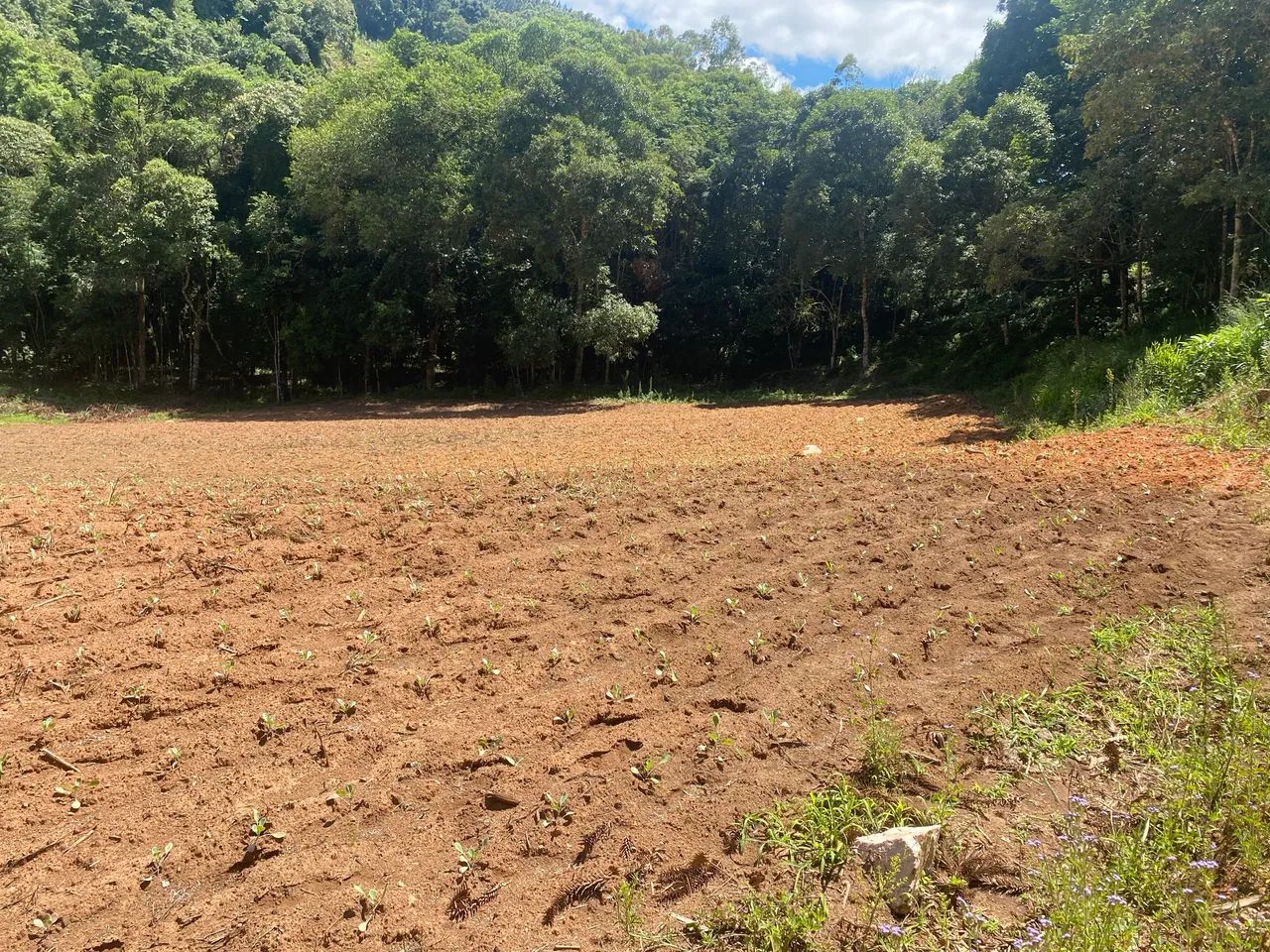 Foto - Jundiaí - Vila Maringá