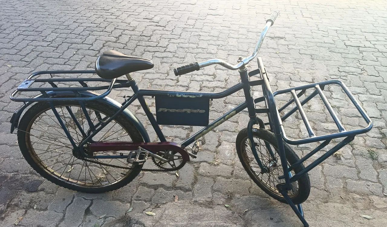 Bicicleta de carga 