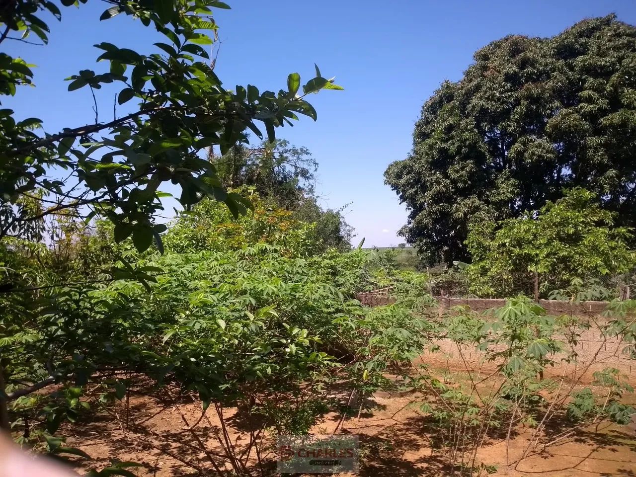 Chácara Para Venda CHÁCARA SOL NASCENTE MOGI MIRIM - Foto 4