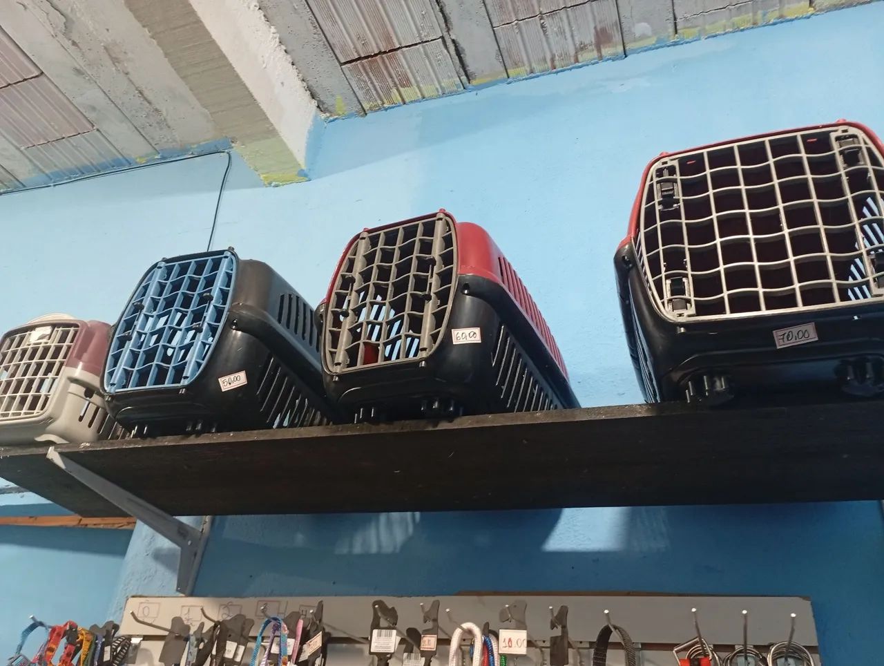 Colerais e guias e diversos para pet - Foto 4