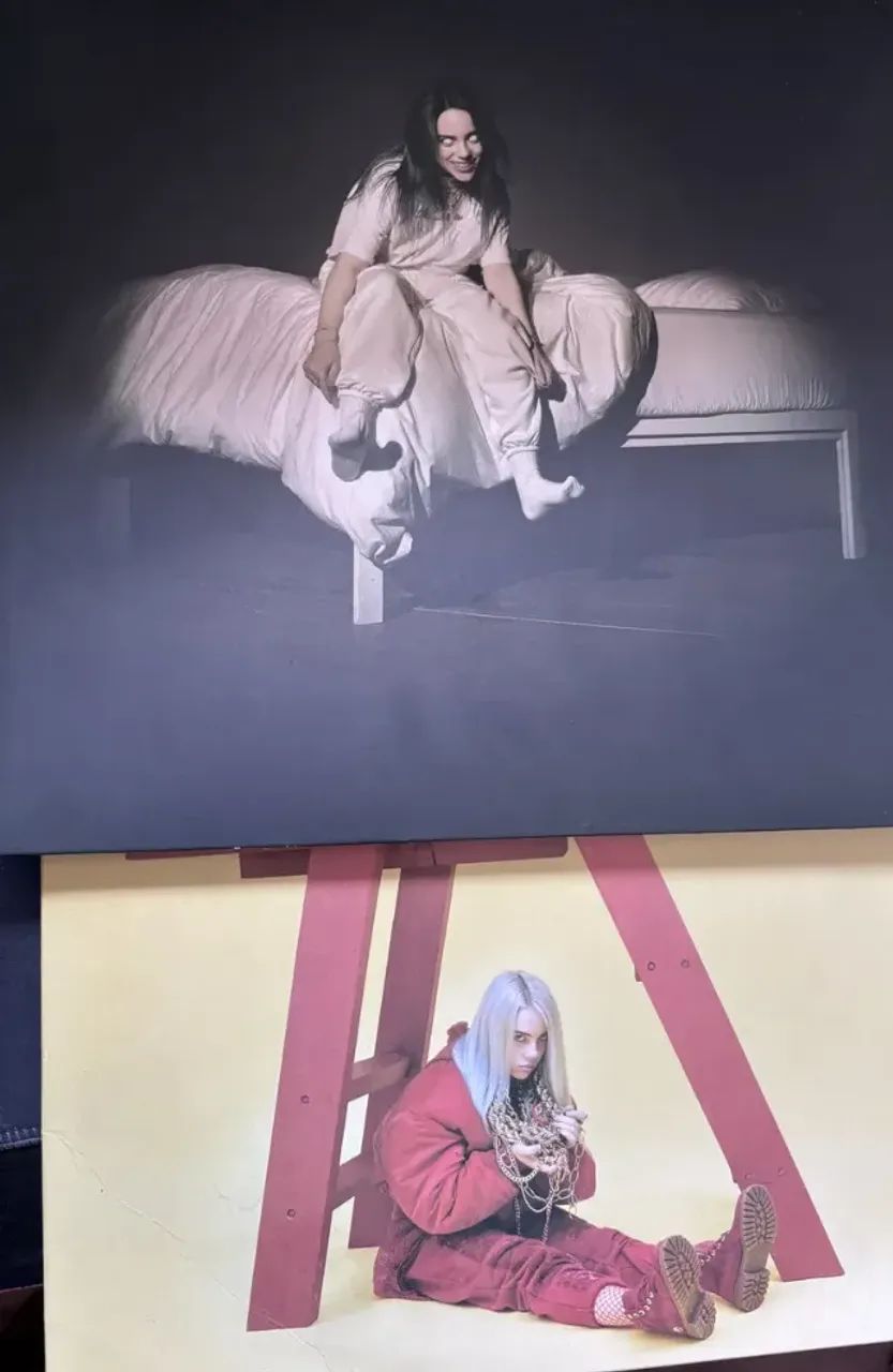 2 Vinis da Billie Eilish Importados