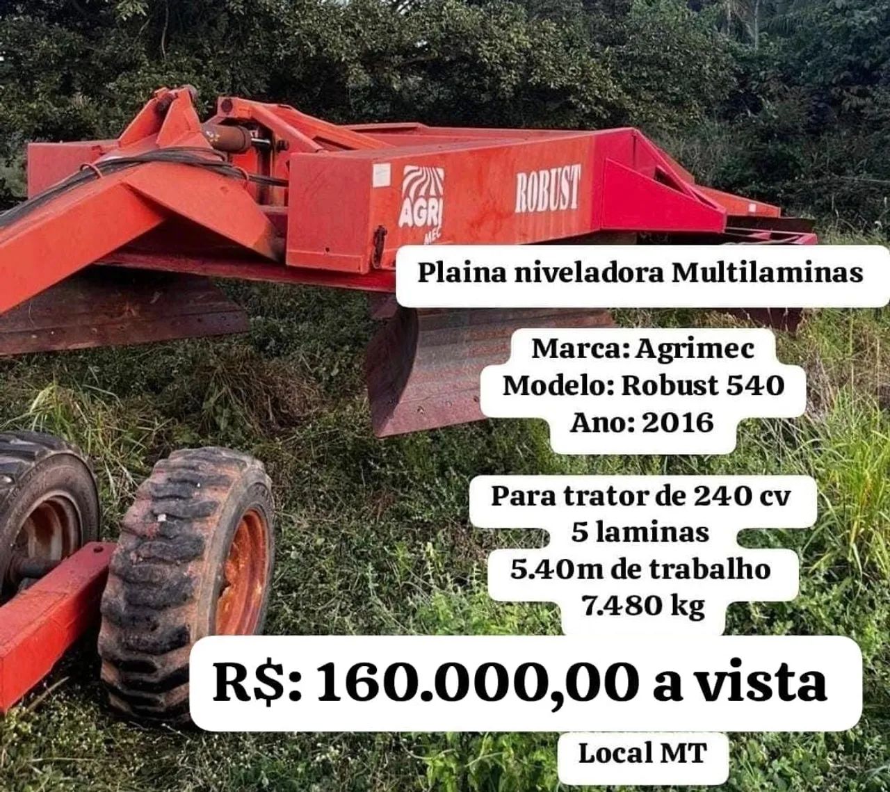 Plaina Niveladora Multilaminas