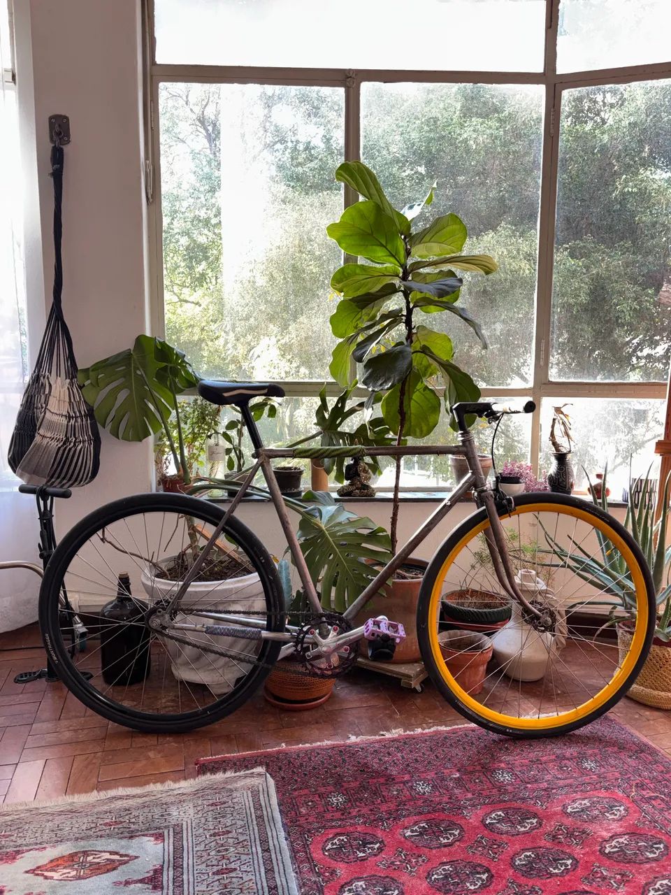 Bicicleta peugeot 10 fixa rat