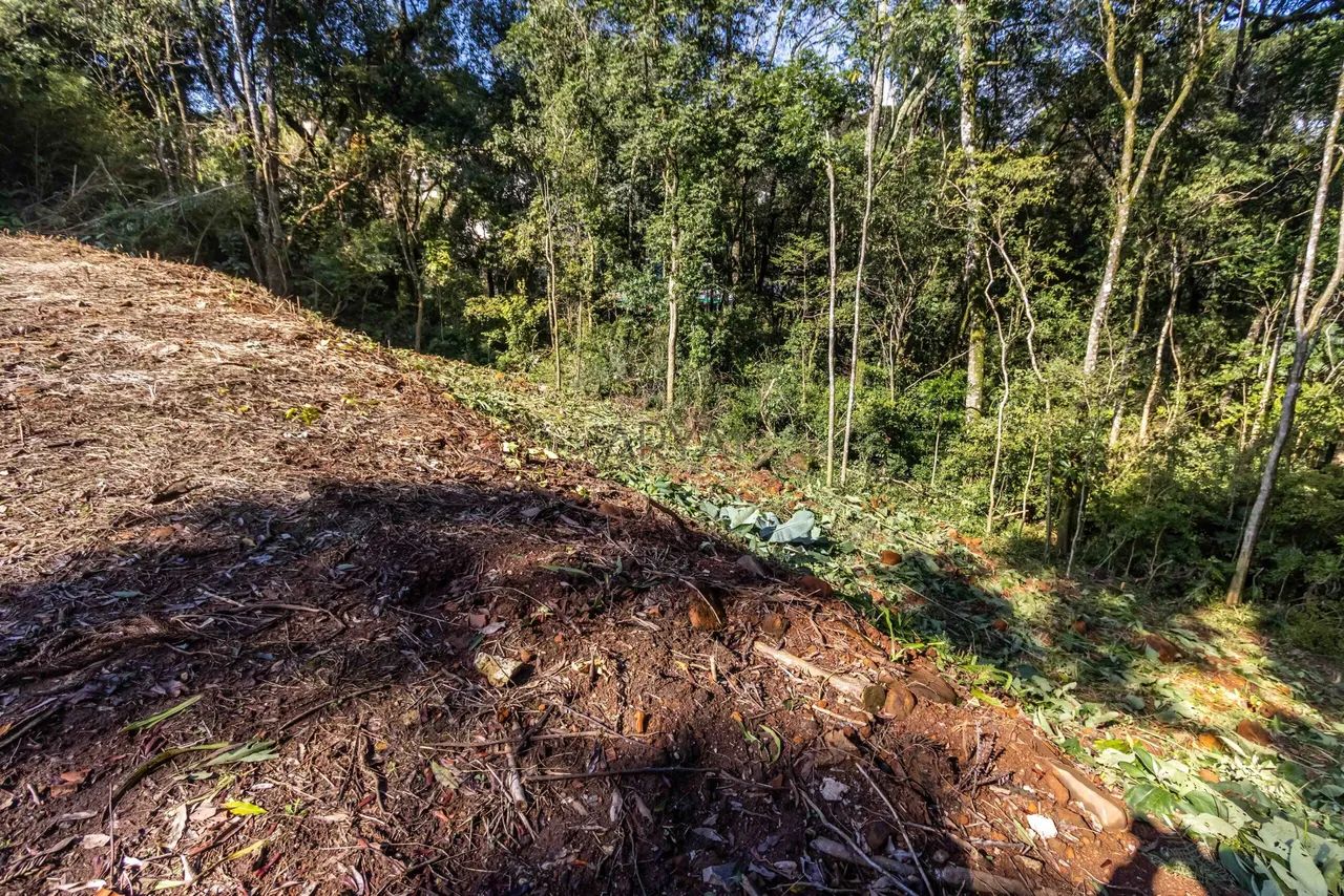 Terreno no Mossungê - ARYA 1 - Foto 4