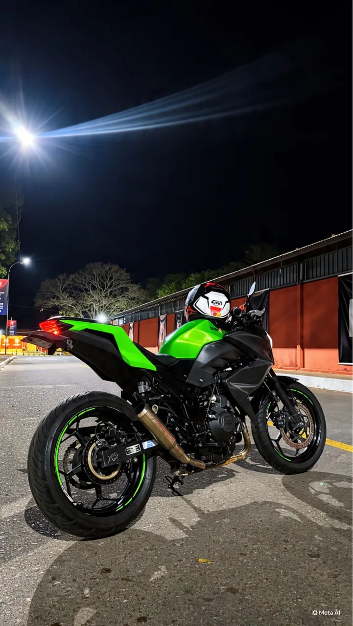 Z300 2016 - Foto 2